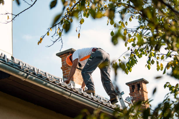 Steel Roofing in Tacoma, WA