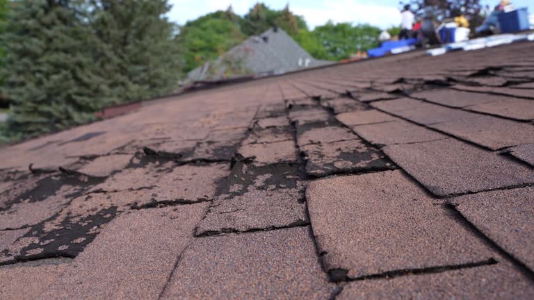 Fast & Reliable Emergency Roof Repairs in Placeholder9